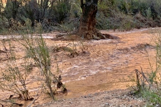 Tourists Hoping to See Arizona Falls Forced Out by Flooding