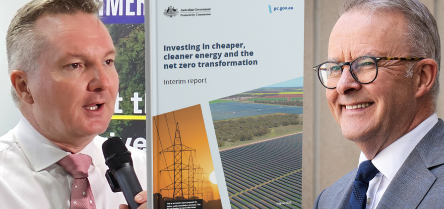 The report will make for interesting if a little uncomfortable reading for the government.