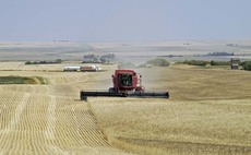 Canada set for 'harvest bonanza'