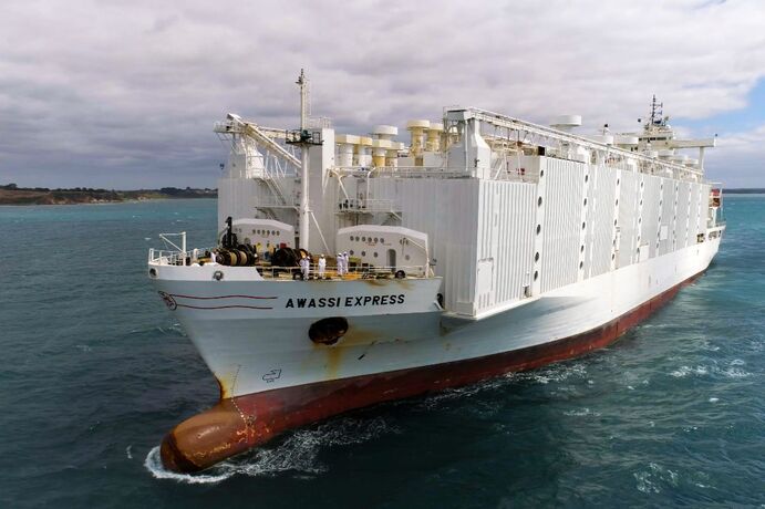 The tipping point for the modern phase of decline of the live sheep export trade arguably began following an incident on the Awassi Express. But who is to blame?