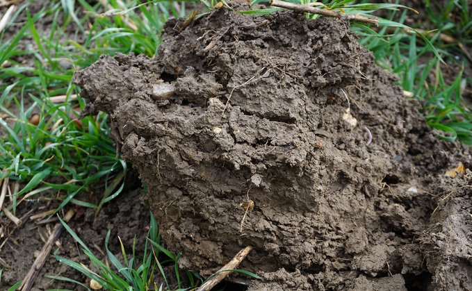 How adding soil carbon can boost soil health