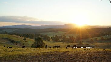 Peak farming bodies have reiterated fears farmers may have to sell farmland to pay tax bills if proposed changes to superannuation are passed in the Senate. 