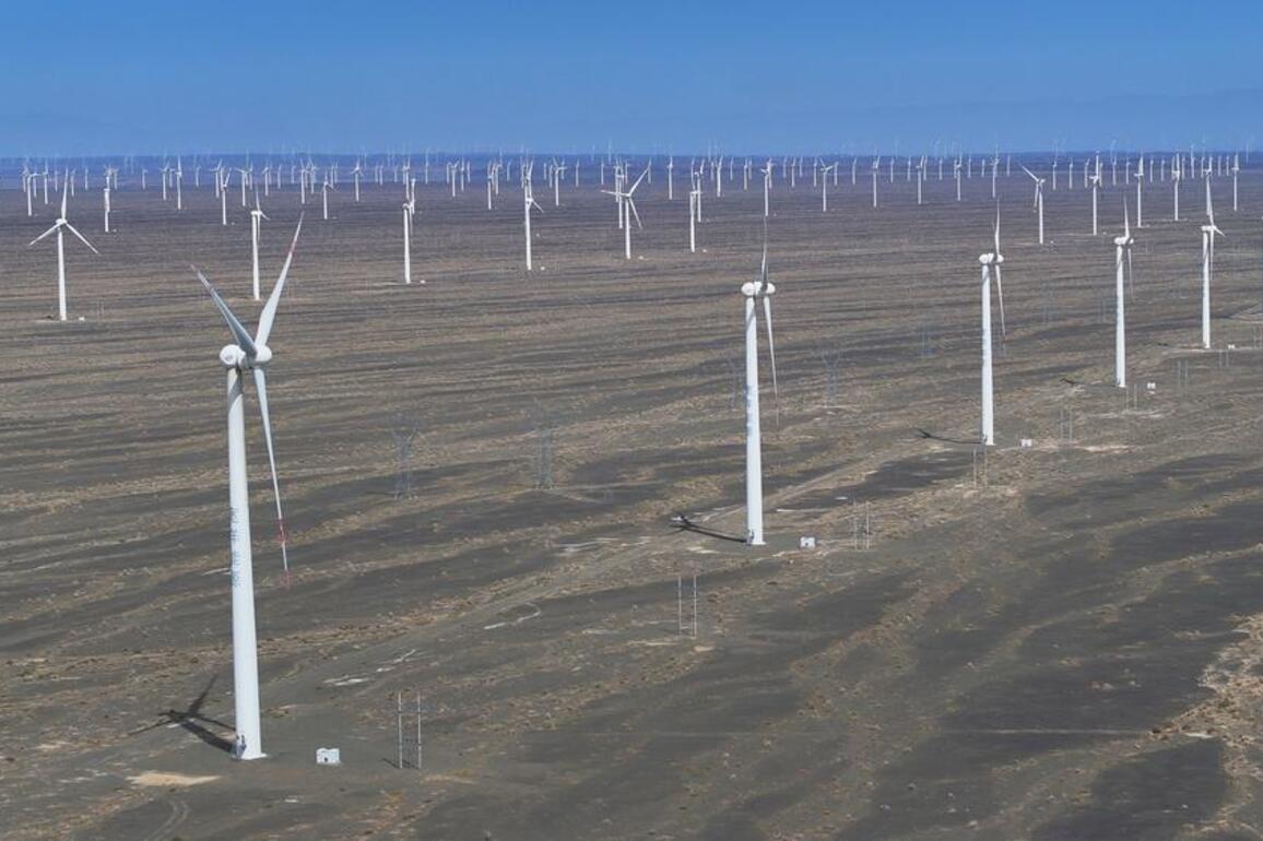 Global energy think tank praises China's world-leading role in clean energy, technology