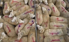 Global: Sheep prices impact Eid celebrations