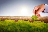 Tackling biodiversity challenges with nature-positive solutions