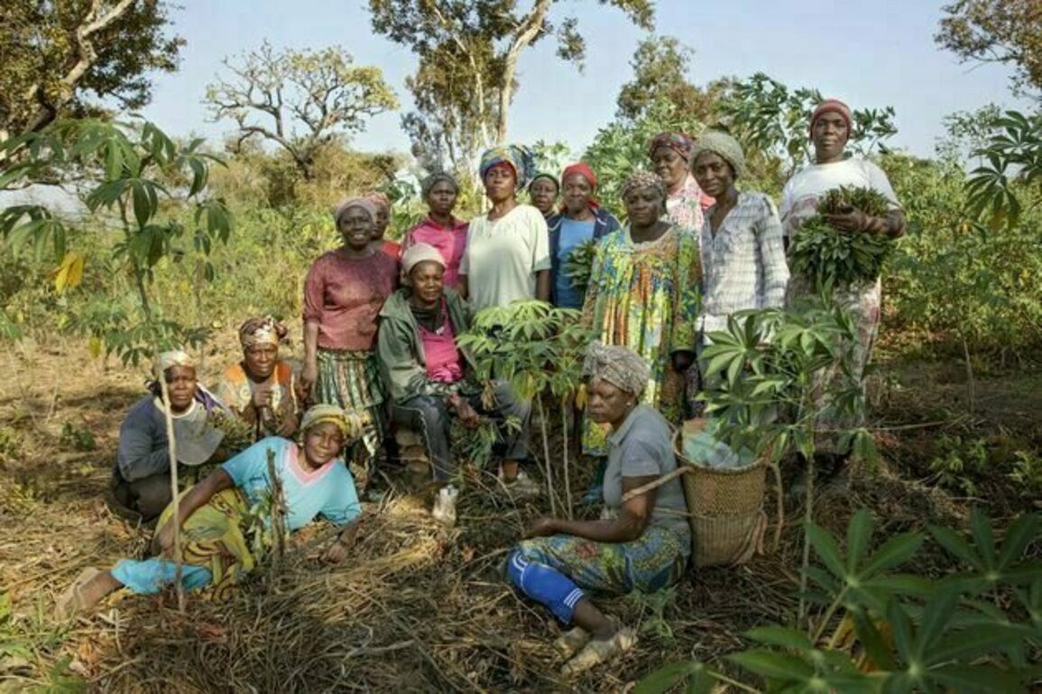 33 million women grow food on plots in sub-Saharan Africa. Greener farming can boost their earnings - study