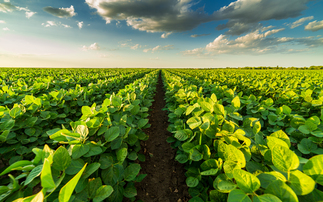 Sowing climate resilience: Farmers to share £15m Landscape Recovery funding round