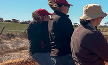 Agriculture Victoria senior research scientist, Professor Roger Armstrong, speaking to growers as part of the Northern Mallee Crop Walk earlier this year.