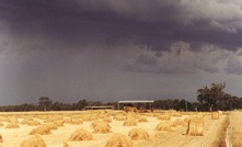 SA hailstorm recovery grants available