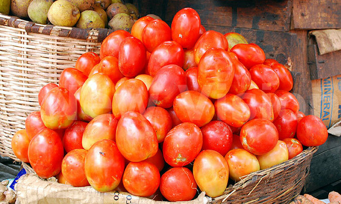 Two tomatoes a day may keep lung disease at bay - study Two tomatoes a day may keep lung disease at bay - study