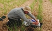 Getting a clearer understanding of soil nitrogen