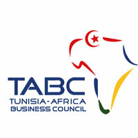 UAE hailed as role model for Africa's integrated development: Tunisia Africa Business Council