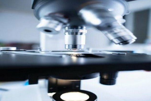New tool to screen molecules for anti-COVID properties