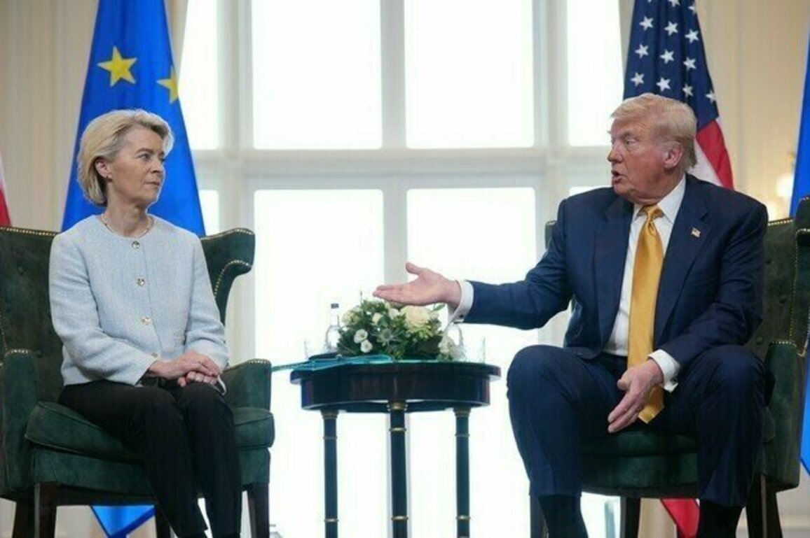 Trump wants EU to slap India and China with 100% tariffs  FT