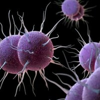 A gonorrhoea vaccine will soon be available in the UK - here's how it works to protect against the STI
