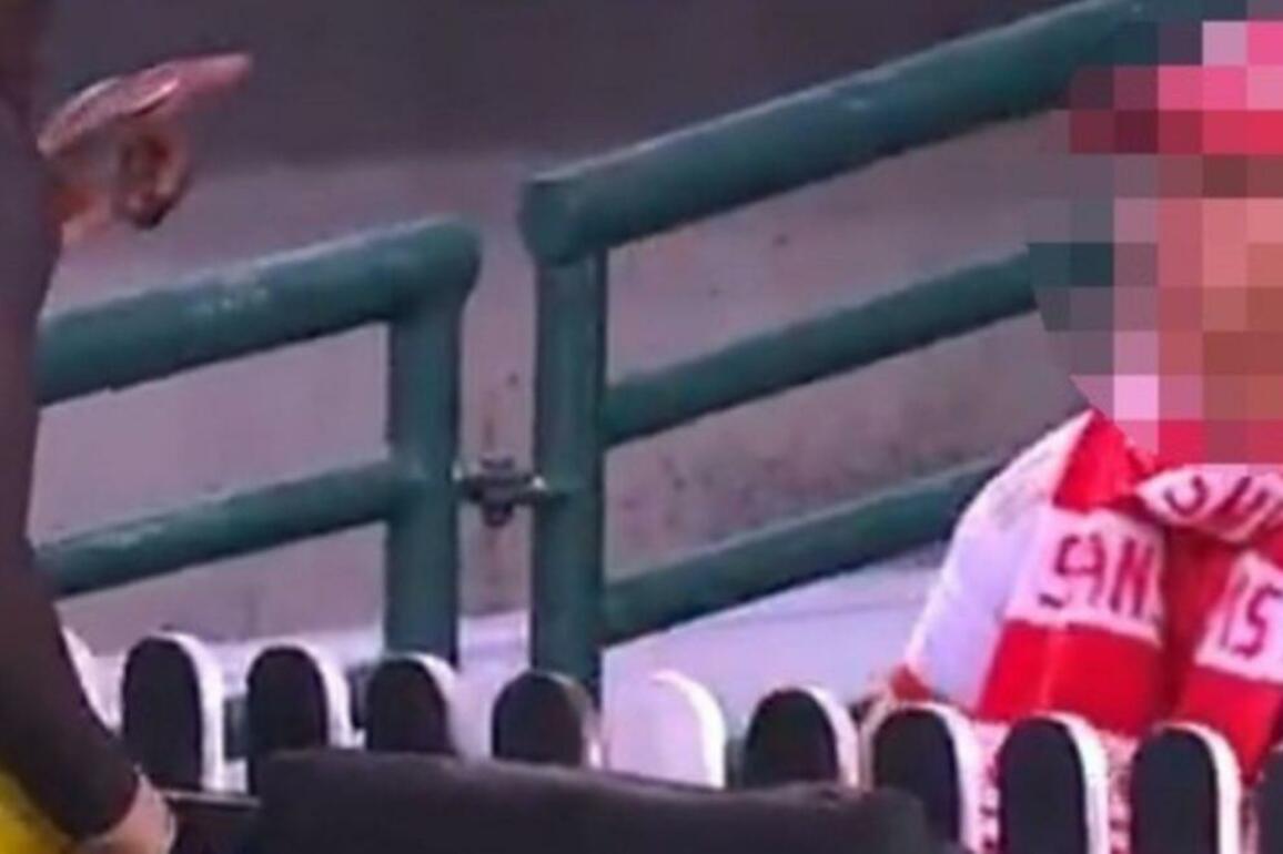 Teenager booted from SCG after bloody stupid act to AFL player