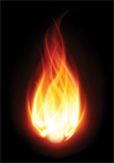 Gas installation company Seaflame fails