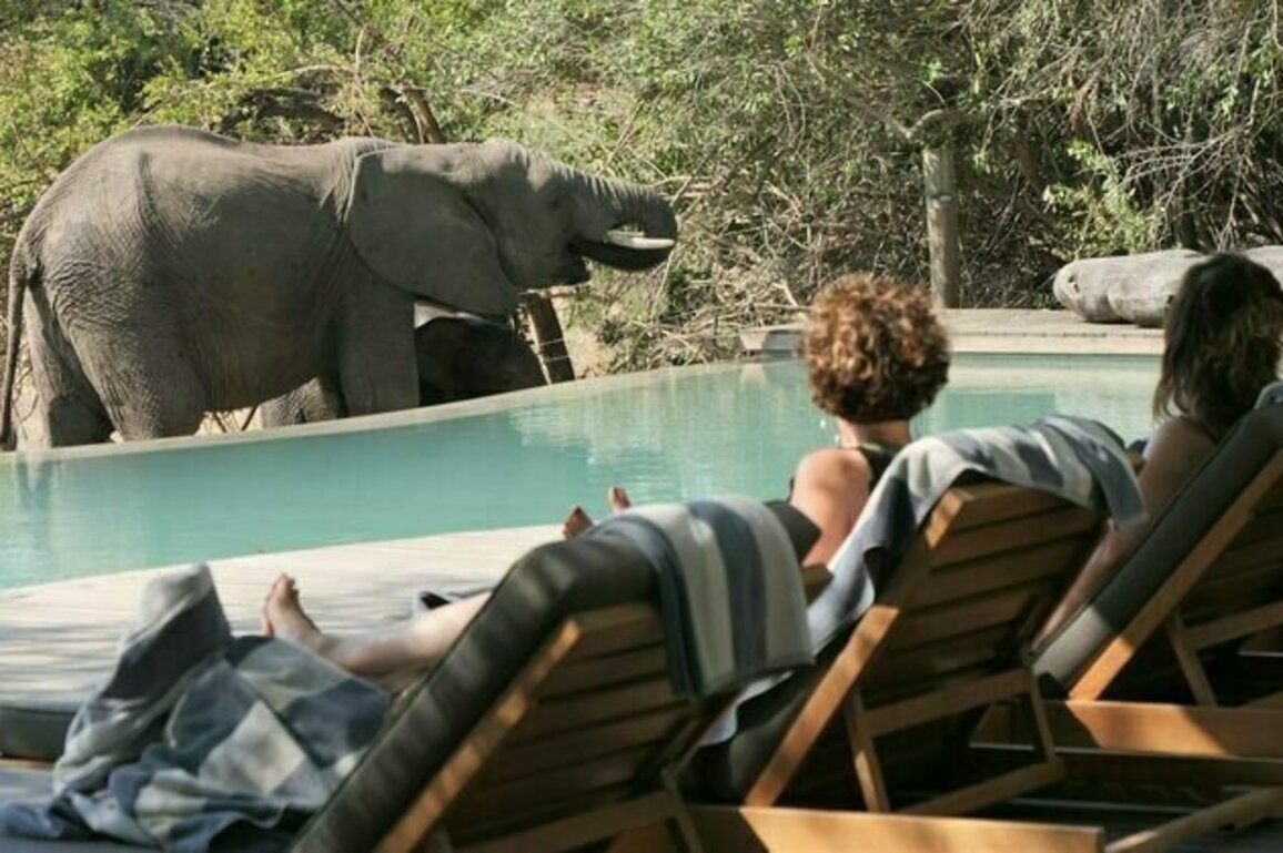 Communities near South Africa's Kruger National Park prefer wildlife-friendly ways to earn a living over killing animals