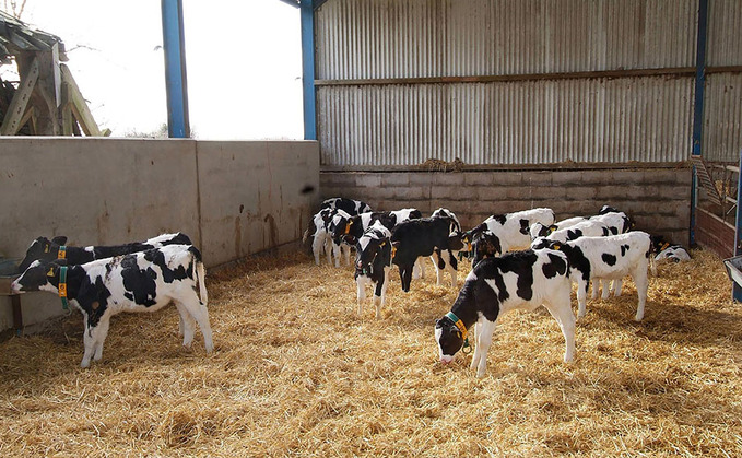 Good hygiene protocols in the rearing stage