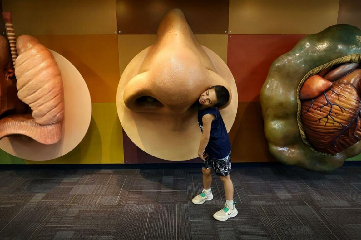 Childrens Museum expands