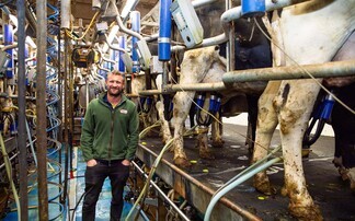 Maximising milk solids: Inside the high performing Redhouse Holstein herd