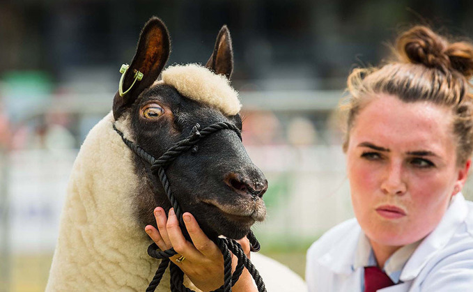 A round-up of news from the Royal Welsh Show