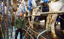 Maximising milk solids: Inside the high performing Redhouse Holstein herd