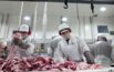  AMIC is seeking urgent action to address meat processing staff shortages. Picture courtesy AMIC.