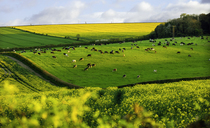 Farmers urged to prepare for Sustainable Farming Incentive reopening in June