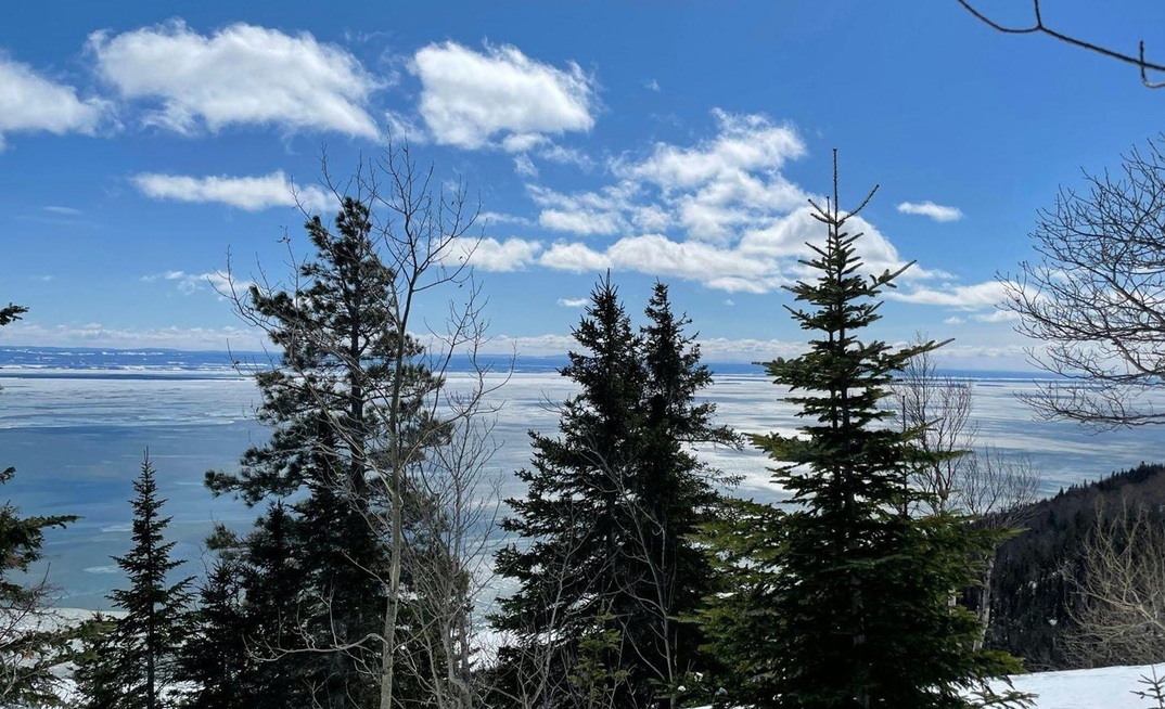 Temas trends higher with titanium-strong debut