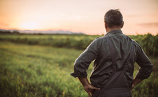 Farming after the death of a spouse