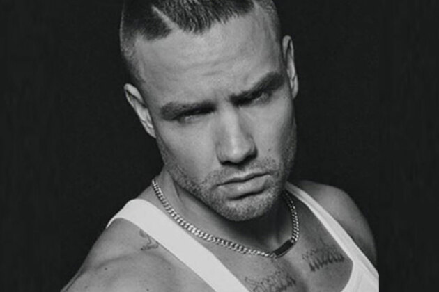 'Building The Band' to feature late Liam Payne as guest judge