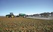 Weed problem bigger than just glyphosate resistance