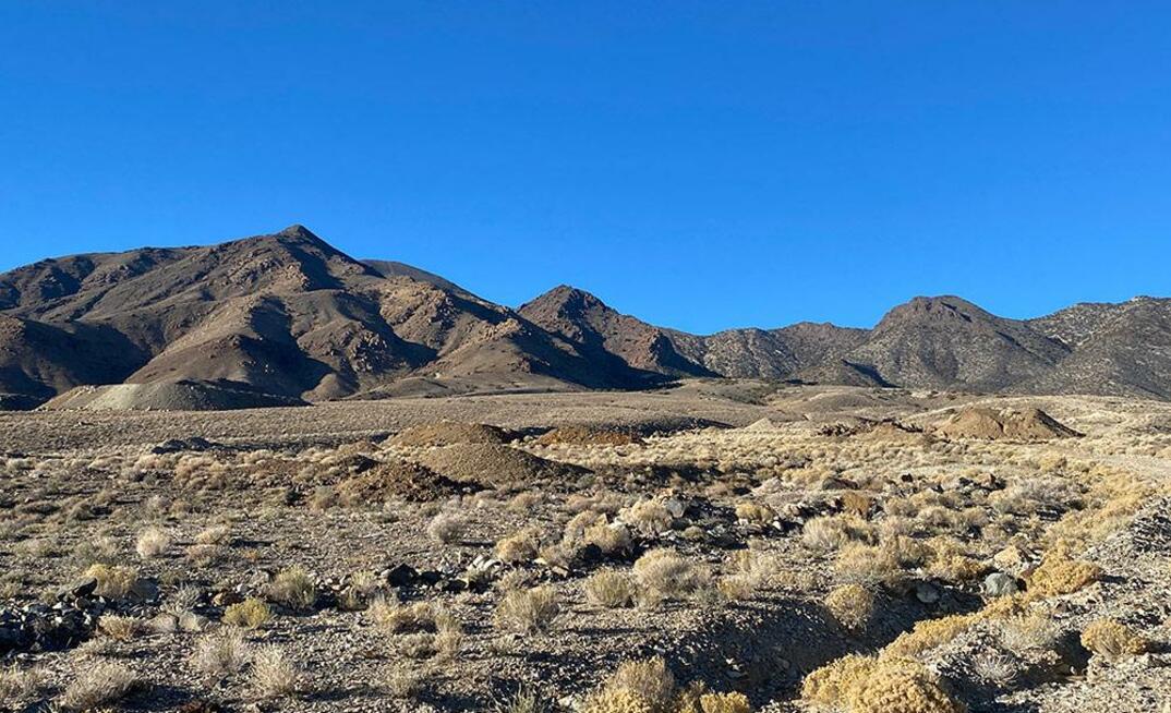 The Pilot Mountain project in Nevada