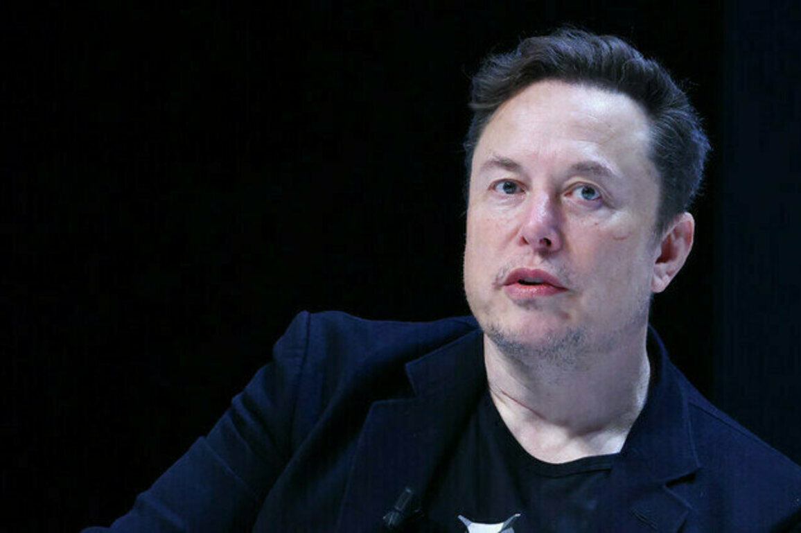 Europe could die out  Musk