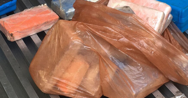 Drug gangs use social media to recruit airline crew as couriers