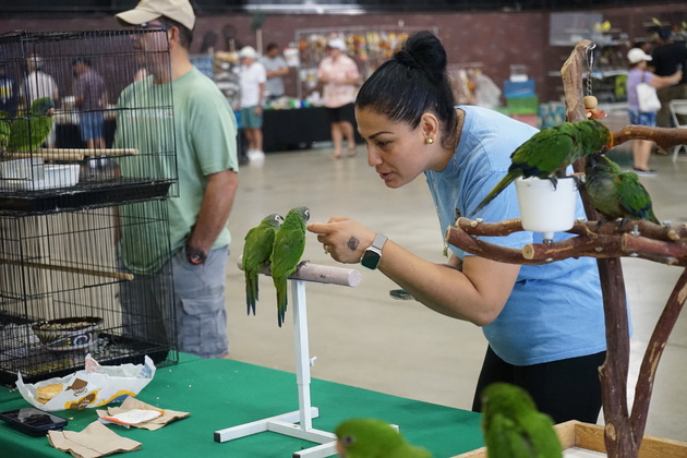 U.S.-CALIFORNIA-POMONA-EXOTIC BIRD MART & EXPO