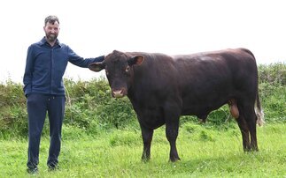 Alternative approach to dairying works for Pembrokeshire farm