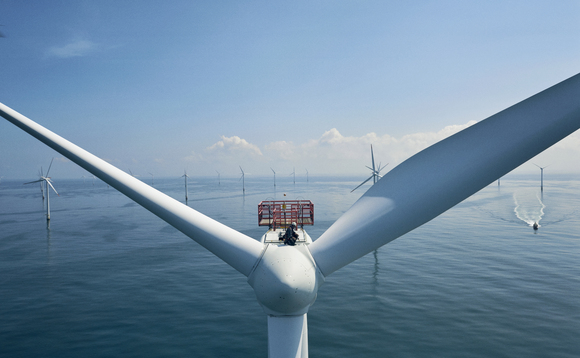 Vattenfall's Horns Rev 3 wind farm in the North Sea | Credit: Vattenfall