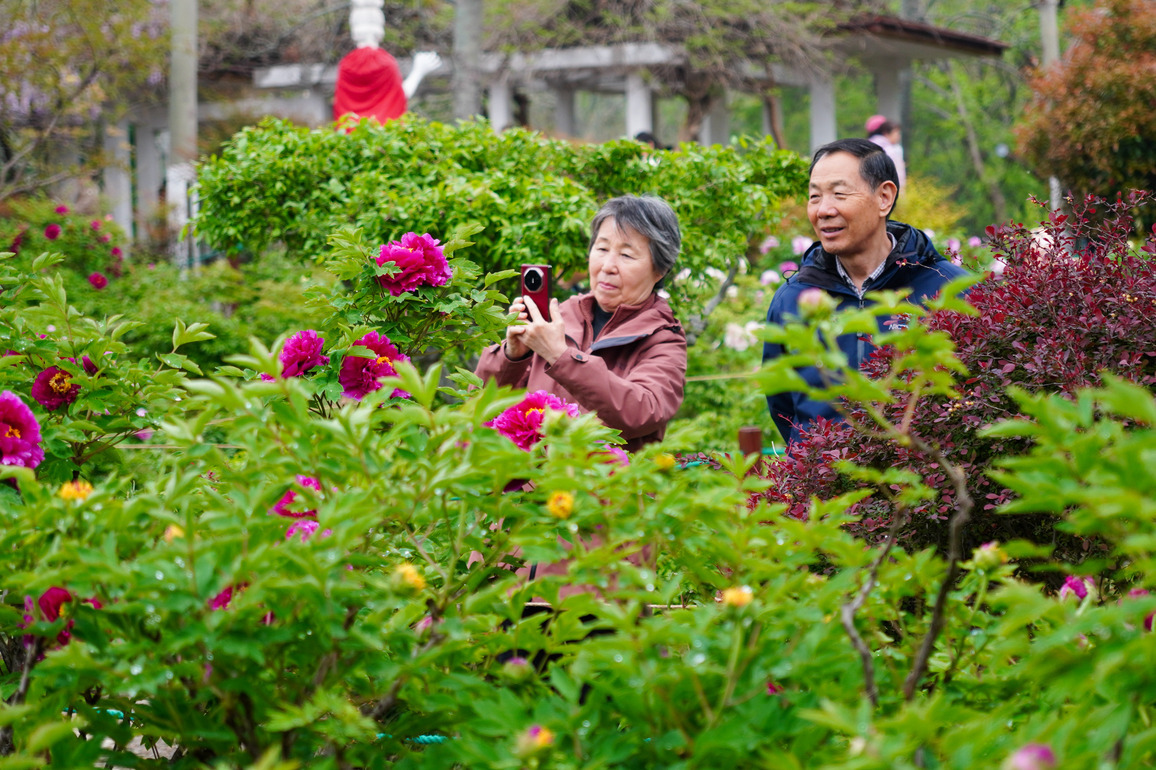 (ShandongHorizon) CHINA-SHANDONG-SPRING-SCENERY (CN)