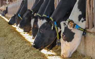 farmersguardian.com - Katie Fallon - Partner Insight: Preventative health as the foundation of farm resilience