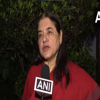 "Very strange judgment...": Maneka Gandhi expresses disappointment on SC's relocation order on stray dogs