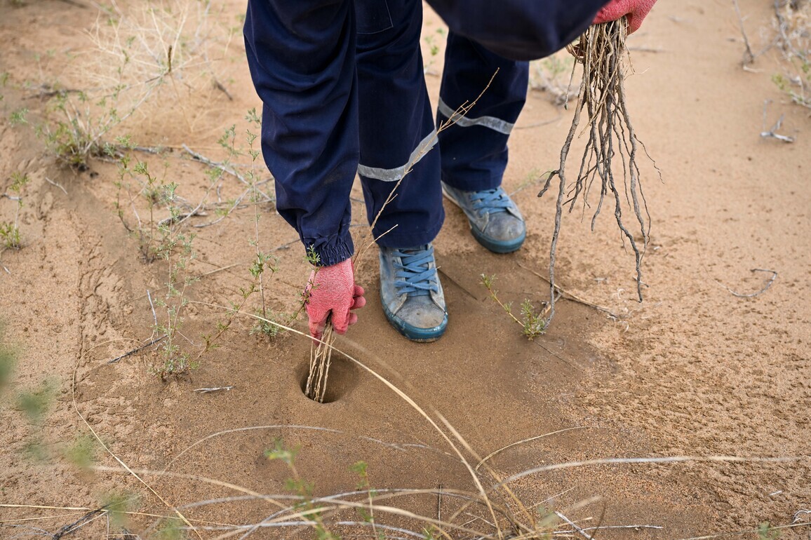 CHINA-INNER MONGOLIA-BAYANNUR-ULAN BUH DESERT-SAND CONTROL (CN)
