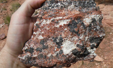  A mineralised rock from Midnight Juniper in Arizona