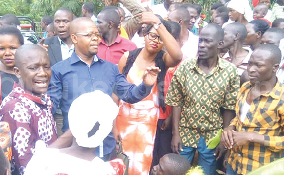 Magogo (mu ssaati ya bulu) g’aliko byannyonnyola. Magogo (mu ssaati ya bulu) g’aliko byannyonnyola.