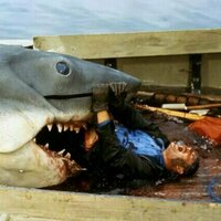 Jaws at 50: the first summer blockbuster is still a film that bites - even when the shark didn't work