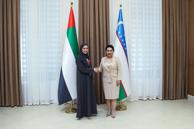 Federal National Council, Uzbek Senate discuss parliamentary cooperation