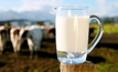 Higher quality milk means more profit