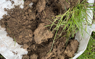 Growers advised to gather detailed soil data to influence spring nutrition requirements