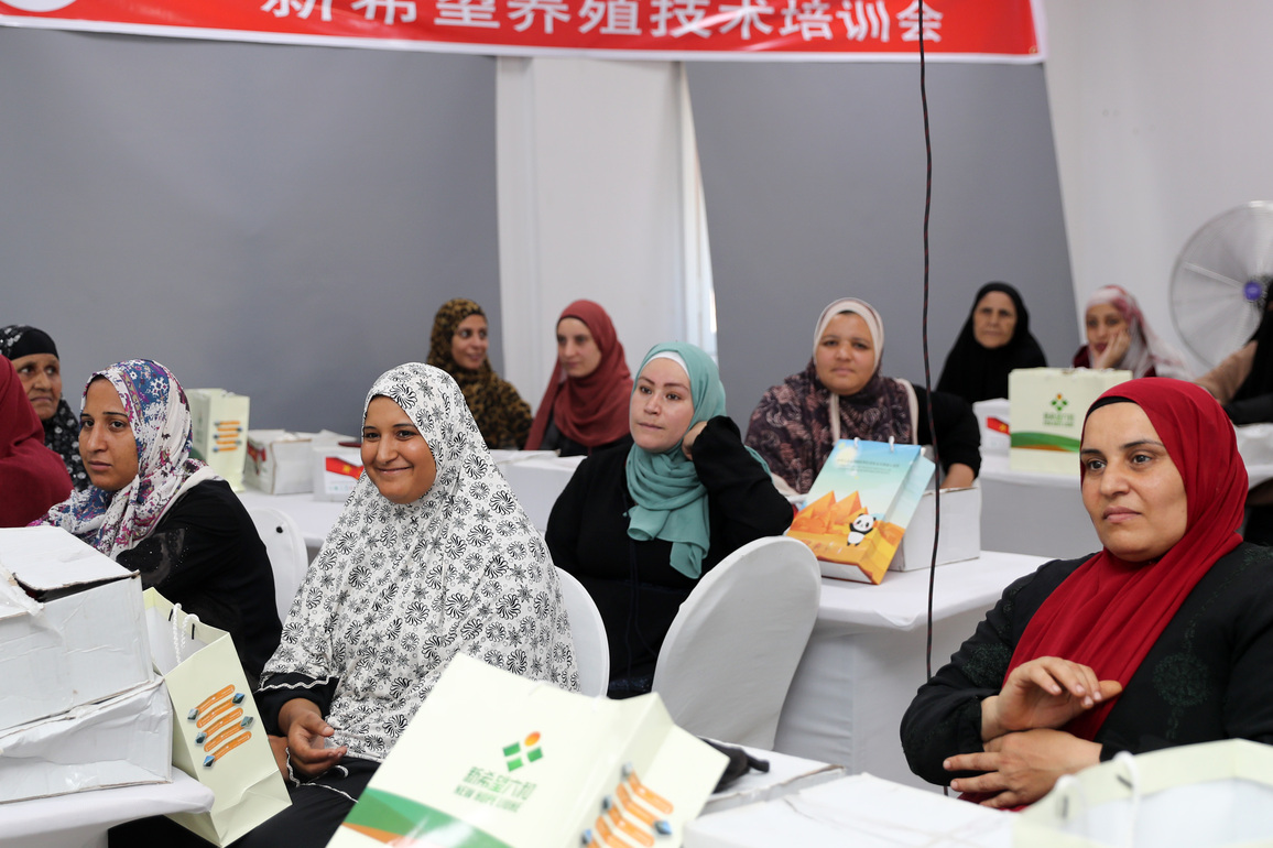 EGYPT-MENOUFIA-POULTRY TRAINING